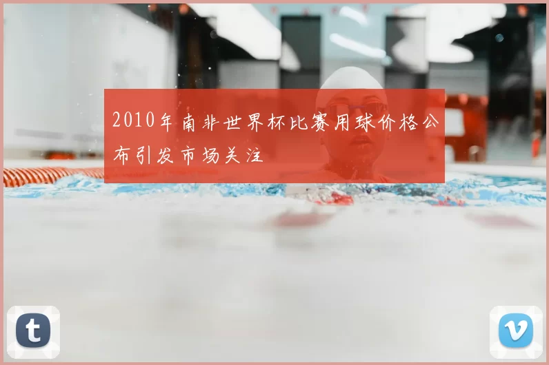 2010年南非世界杯比赛用球价格公布引发市场关注