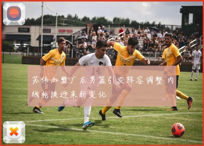 苏伟加盟广东男篮引发阵容调整 内线轮换迎来新变化