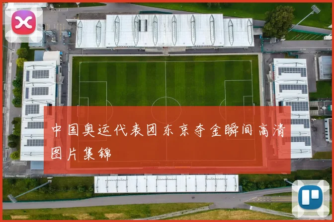 中国奥运代表团东京夺金瞬间高清图片集锦