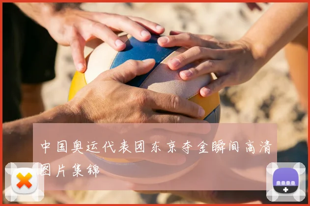 中国奥运代表团东京夺金瞬间高清图片集锦