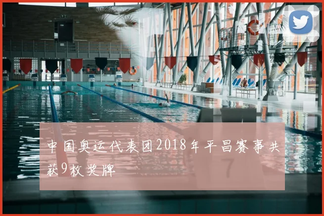 中国奥运代表团2018年平昌赛事共获9枚奖牌